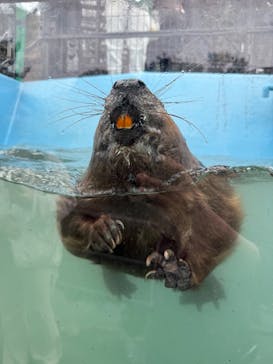 伊豆シャボテン動物公園に投稿された画像（2025/2/16）