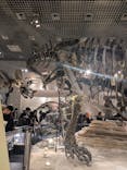 国立科学博物館に投稿された画像（2025/2/16）