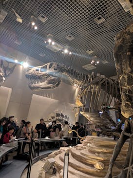 国立科学博物館に投稿された画像（2025/2/16）