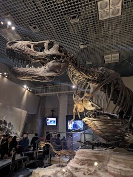 国立科学博物館に投稿された画像（2025/2/16）