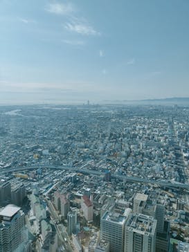 ハルカス300(展望台)に投稿された画像（2025/2/16）