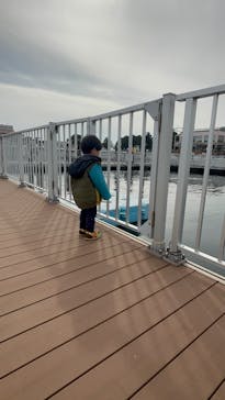 横浜・八景島シーパラダイスに投稿された画像（2025/2/16）