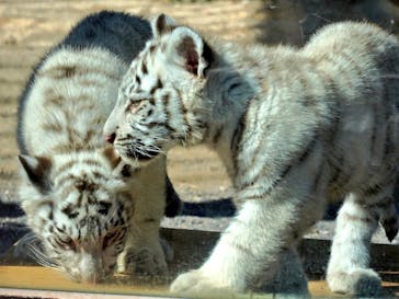 東武動物公園に投稿された画像（2025/2/16）