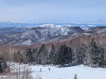 ピラタス蓼科スノーリゾートに投稿された画像（2025/2/16）