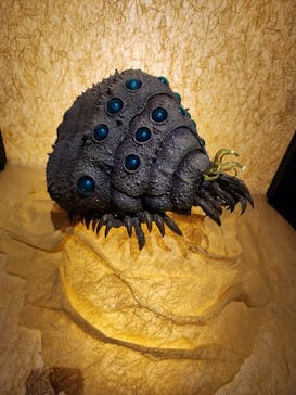 金曜ロードショーとジブリ展　三重展に投稿された画像（2025/2/16）