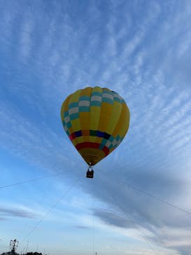 松島熱気球・パラグライダー体験に投稿された画像（2025/2/16）