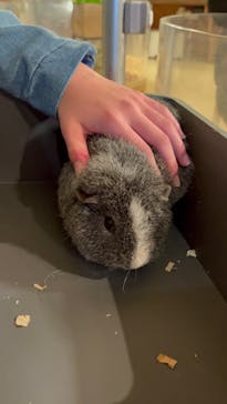 Moff animal cafe イオンモール幕張新都心店に投稿された画像（2025/2/16）