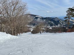 爺ガ岳スキー場に投稿された画像（2025/2/16）