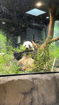 恩賜上野動物園に投稿された画像（2025/2/16）