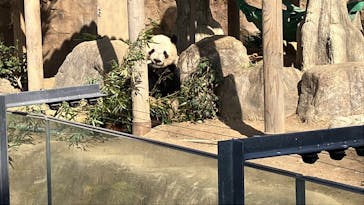 恩賜上野動物園に投稿された画像（2025/2/16）