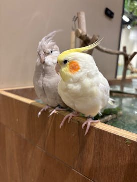 カワスイ 川崎⽔族館に投稿された画像（2025/2/16）