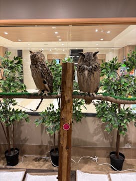 カワスイ 川崎⽔族館に投稿された画像（2025/2/16）