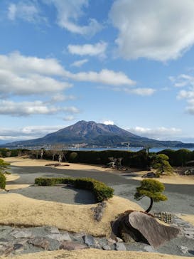 仙巌園に投稿された画像（2025/2/16）