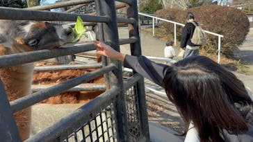 宇都宮動物園に投稿された画像（2025/2/16）