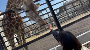宇都宮動物園に投稿された画像（2025/2/16）