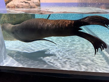 マクセル アクアパーク品川に投稿された画像（2025/2/16）