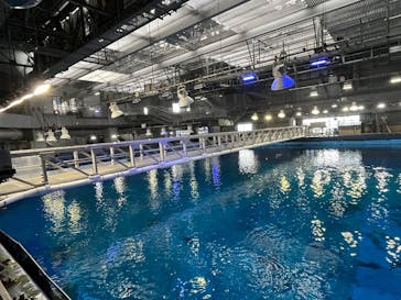 沖縄美ら海水族館（館内体験）に投稿された画像（2025/2/16）