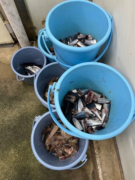 沖縄美ら海水族館（館内体験）に投稿された画像（2025/2/16）