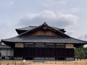 元離宮二条城に投稿された画像（2025/2/16）