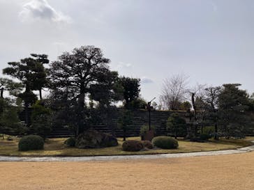 元離宮二条城に投稿された画像（2025/2/16）