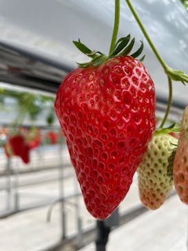 株式会社こまち野に投稿された画像（2025/2/16）