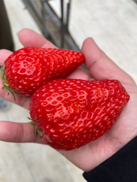 株式会社こまち野に投稿された画像（2025/2/16）