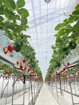 株式会社こまち野に投稿された画像（2025/2/16）