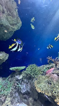 マリンワールド海の中道に投稿された画像（2025/2/16）