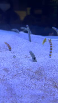 マリンワールド海の中道に投稿された画像（2025/2/16）