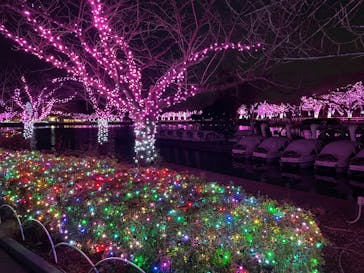 東武動物公園に投稿された画像（2025/2/16）