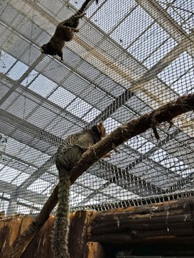 神戸どうぶつ王国に投稿された画像（2025/2/16）