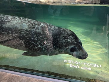 神戸どうぶつ王国に投稿された画像（2025/2/16）