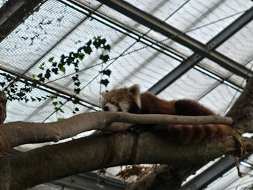 神戸どうぶつ王国に投稿された画像（2025/2/16）