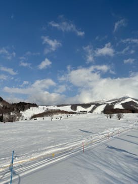 たざわ湖スキー場に投稿された画像（2025/2/16）
