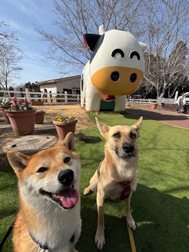 成田ゆめ牧場に投稿された画像（2025/2/16）