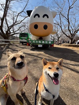 成田ゆめ牧場に投稿された画像（2025/2/16）