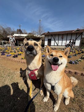 成田ゆめ牧場に投稿された画像（2025/2/16）