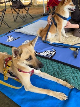 成田ゆめ牧場に投稿された画像（2025/2/16）