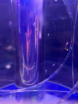 新江ノ島水族館に投稿された画像（2025/2/16）