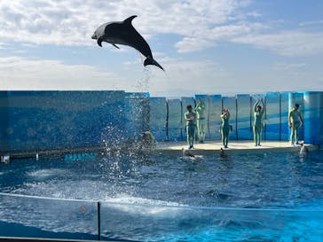 新江ノ島水族館に投稿された画像（2025/2/16）