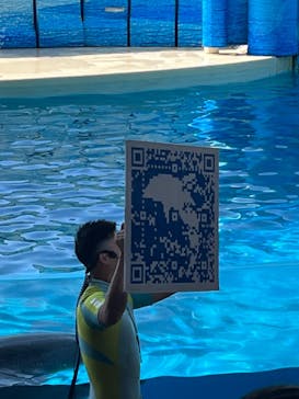 新江ノ島水族館に投稿された画像（2025/2/16）