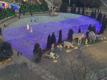 東武動物公園に投稿された画像（2025/2/16）