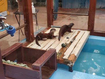 ゼロ距離水族館 伊勢シーパラダイスに投稿された画像（2025/2/16）