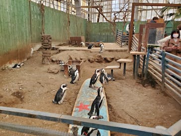 ゼロ距離水族館 伊勢シーパラダイスに投稿された画像（2025/2/16）