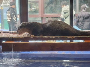 ゼロ距離水族館 伊勢シーパラダイスに投稿された画像（2025/2/16）