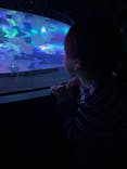 すみだ水族館に投稿された画像（2025/2/16）