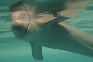 マリンワールド海の中道に投稿された画像（2025/2/16）