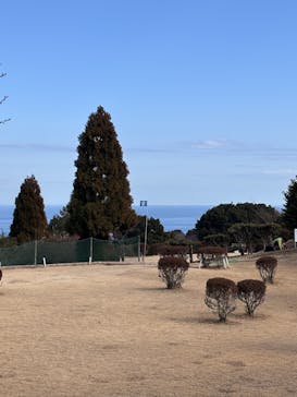 伊豆ぐらんぱる公園に投稿された画像（2025/2/16）