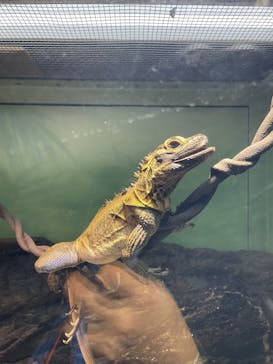 サンシャイン水族館に投稿された画像（2025/2/16）