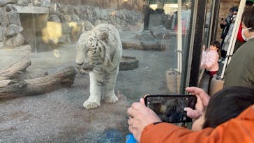 東武動物公園に投稿された画像（2025/2/16）